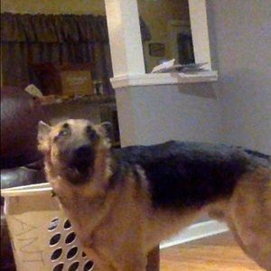 Meet your Posher, Juan